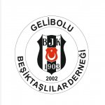  OLAĞAN GENEL KURUL TOPLANTISINA ÇAĞRI İLANI